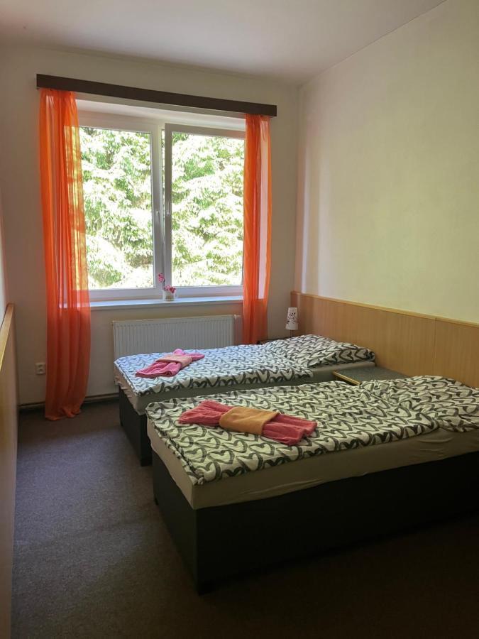 Apartman Novohradky 22 Benesov nad Cernou Екстериор снимка