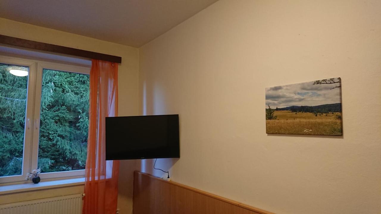 Apartman Novohradky 22 Benesov nad Cernou Екстериор снимка