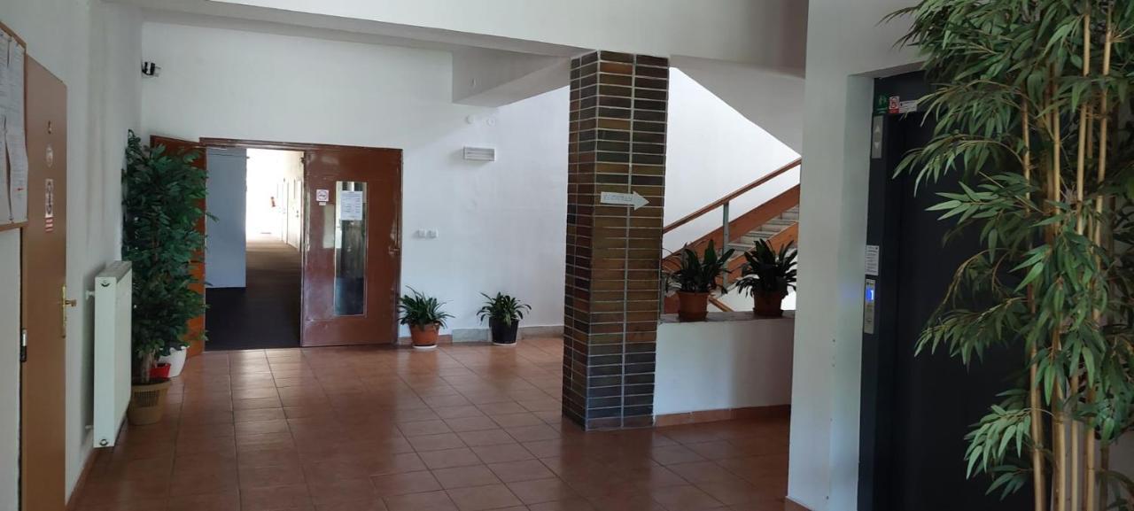 Apartman Novohradky 22 Benesov nad Cernou Екстериор снимка