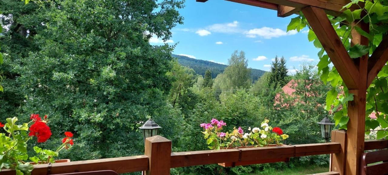 Apartman Novohradky 22 Benesov nad Cernou Екстериор снимка